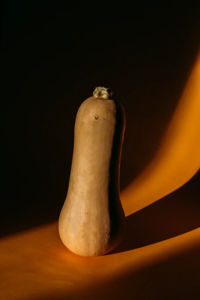 Bild einer Aubergine sinnbildlich für einen Penis