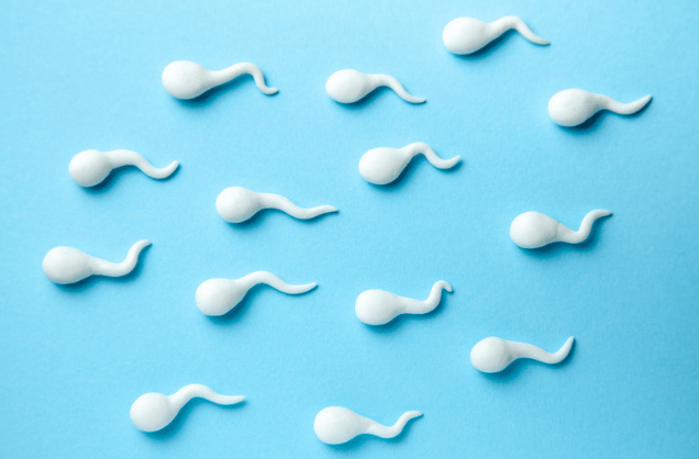 Weiße Spermien vor blauem Hintergrund